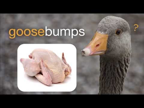 Why do we get goosebumps when we're cold