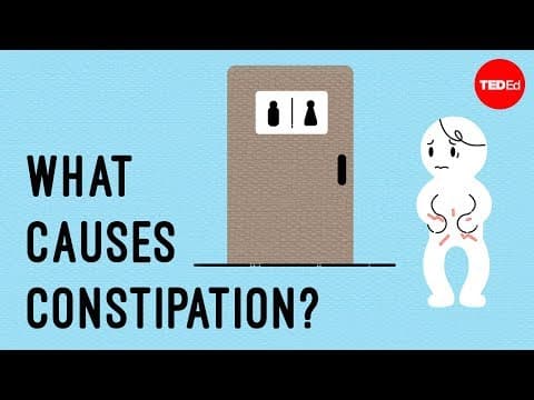 What causes constipation? - Heba Shaheed - YouTube