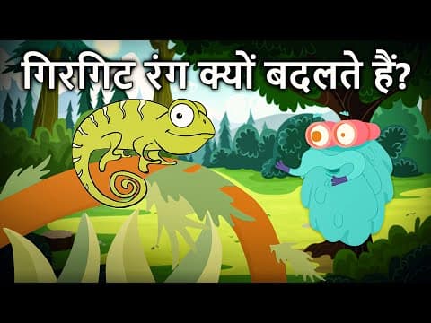 व्य डास् चमेलियोन चेंज कलर ? | गिरगिट रंग क्यों बदलते हैं? | Chameleon In Hindi | Dr.Binocs Show