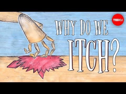 Why do we itch?-emma bryce
