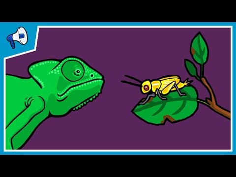 What is Natural Selection? - YouTube