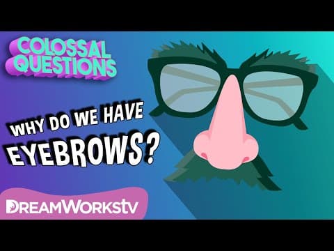 Why Do We Have Eyebrows? | COLOSSAL QUESTIONS