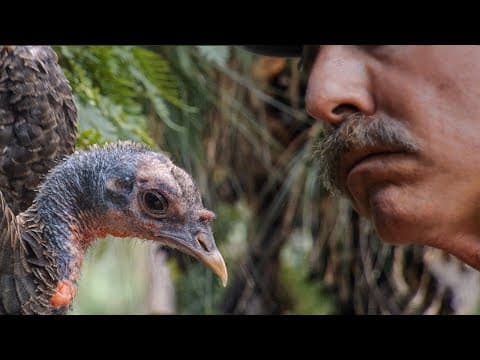 Learning to Speak Turkey