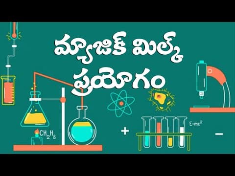 Magic milk experiment - science experiment