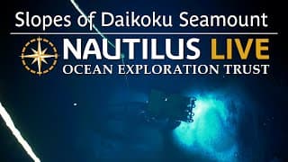 The Sulfurous Slopes of Daikoku Seamount
