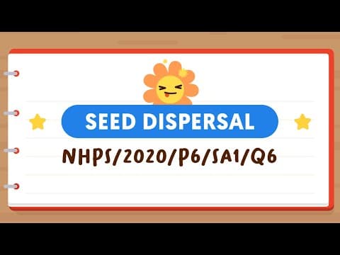 PSLE SCIENCE MADE SIMPLE EP79 | Seed Dispersal | What Will These Weeds Compete For?