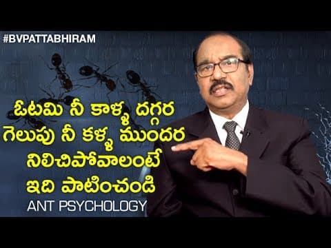 How to achieve your goals with ant psychology method 