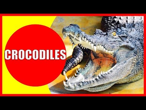 CROCODILES FOR KIDS - Interesting Crocodile Facts for Children