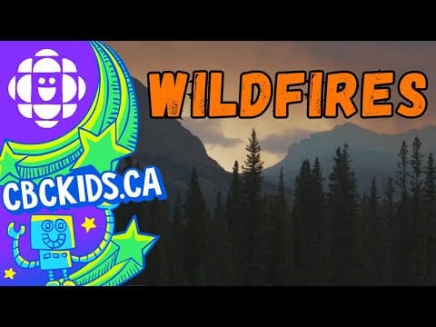 Understanding Forest Fires, a CBC Kids explainer