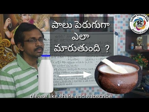 Why? What? How? - 2 |How milk changes as curd