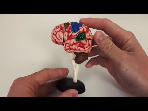 Cctv में कैद होगयी यह घटना वर्ना कोई यकीन नहीं करता Science Experiment on Humanity