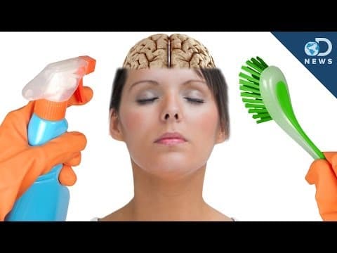 Why Your Brain Needs Sleep