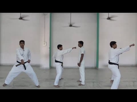 Three Punches | Chudan, Jodan and Gedan Zuki | Self Defence | Martial Arts | Telugu | Martial Wisdom