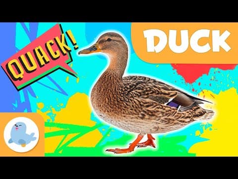 DUCK 🦆 Animals for Kids 🏞️ Episode 13