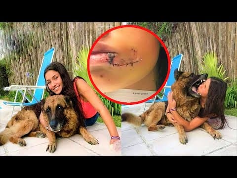 Be Very Careful With These Pets