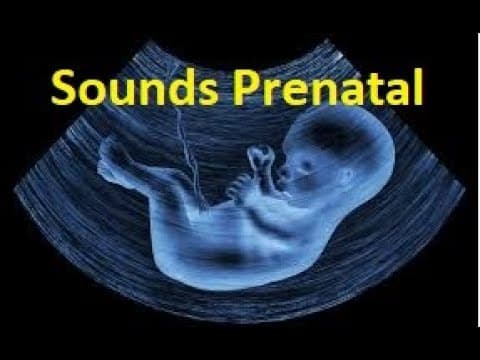 Prenatal sounds the sounds your baby hears in the womb baby sleeping sounds clear white noise