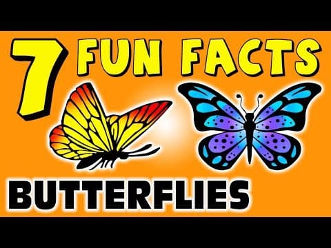 7 FUN FACTS ABOUT BUTTERFLIES! BUTTERFLY FACTS FOR KIDS! Learning Colors! Insects! Funny Sock Puppet