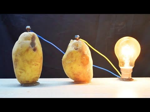 Free 230v Light Bulb use Potato energy