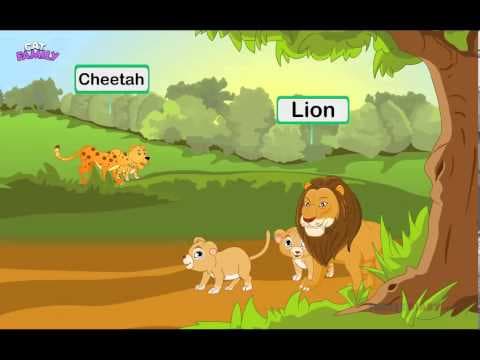 Can You Win this Cat Family Game? *Animal Video For Kids*