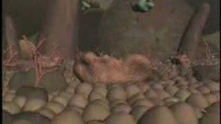 Journey Inside a Cell