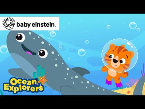Unique Patterns with Whale Sharks Song - NEW Ocean Explorers