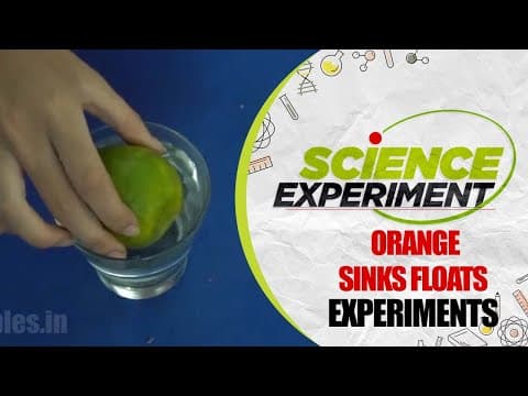 Science Experiment - 40 | Orange sinks floats Experiment | Chemistry Experiment