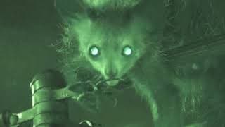 Aye-aye picking its nose at the Duke Lemur Center, copyright Anne Claire Fabre