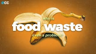 Food Waste causes Climate Change. Here's how we stop it