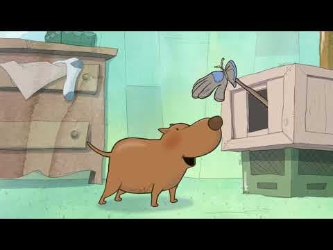 Fred's Birthday! || Stella and Sam || Full Episode