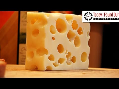 Why Does Swiss Cheese Have Holes?