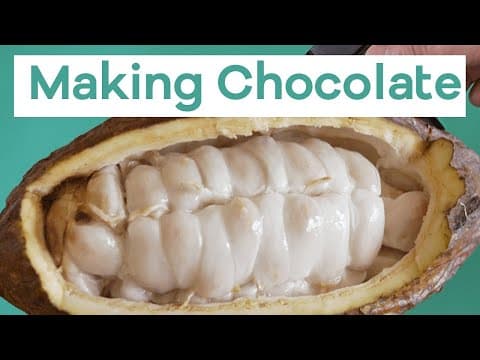 How to make chocolate, from cacao pod to chocolate bar