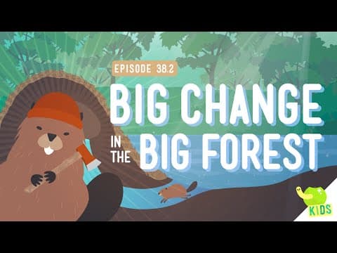 Big Changes in the Big Forest: Crash Course Kids