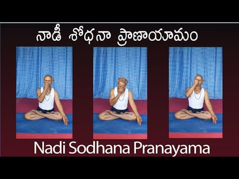 Nadi Sodhana Pranayama by Kuppi Reddy | Nadi Sodhana Pranayama in Telugu | Pranayama in Telugu