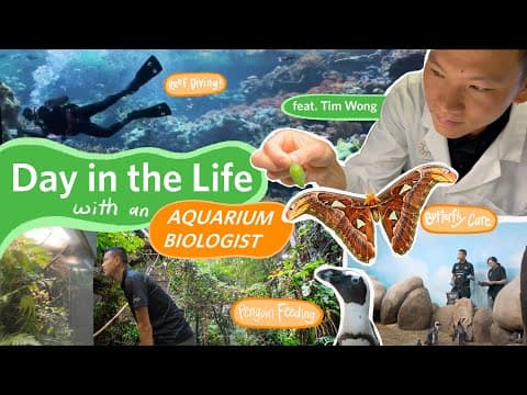 Day in the Life of an Aquarium Biologist 🌿🦋🐧 | California Academy of Sciences - YouTube