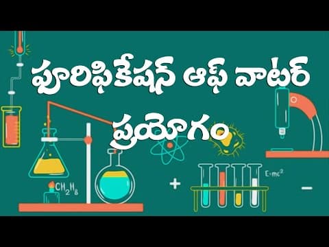 Purification of water experiment - science experiment
