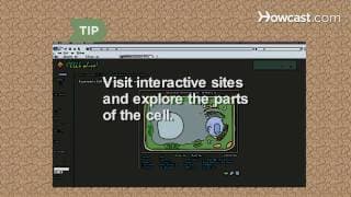 How To Remember the Parts Of the Cell