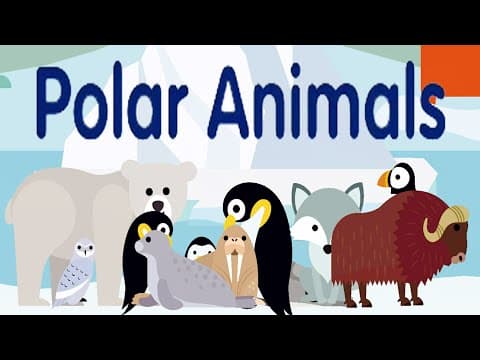 Polar Animals Names and Sounds