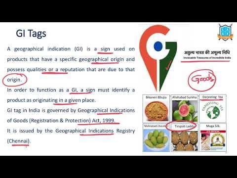 What is Geographical Indication / GI Tags ? || GI Tags అంటే ఏమిటి?
