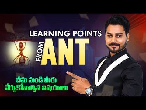 చీమలనుండి అసలు మనం ఎం నేర్చుకోవచ్చు - motivation