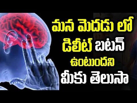 Do you know that your Brain has a “Delete” button? | మన మెదడులో డిలీట్ బటన్ ఉంటుందని మీకు తెలుసా?