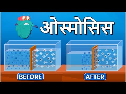 ओस्मोसिस | परासरण | What Is Osmosis In Hindi | Dr.Binocs Show | Educational Videos For Kids