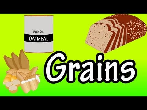 Grains - What are Grains - Whole Grains - Refined Grains - Health Benefits Of Whole Grains