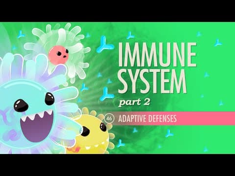 Immune System, Part 2: Crash Course Anatomy & Physiology #46 - YouTube