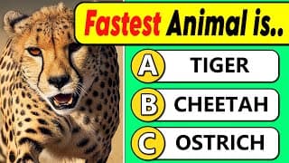 General Knowledge Quiz | Animal Edition