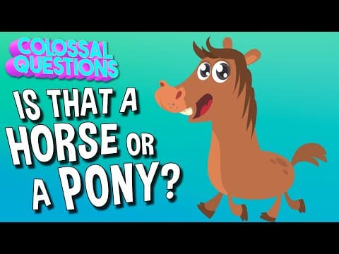 What’s The Difference Between Horses And Ponies? | Spirit Riding Free presents COLOSSAL QUESTIONS