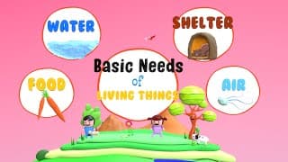 Needs of Living Things|Basic Needs of Living Things|What do Living Things Need