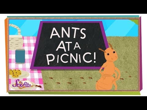 How Do Ants Find Food