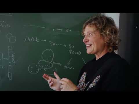 The Language of Crows: Earth Species Project + University of León - YouTube