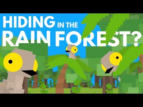 What’s Hiding Deep Within The Rainforest?