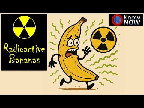 Kitchen Bacteria 5 facts: From Sponges to Cutting Boards